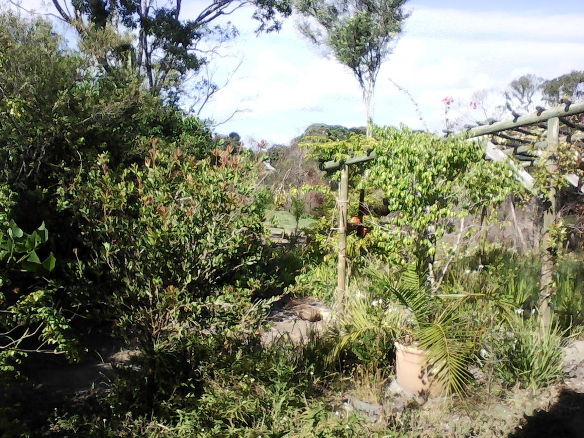 Forest Cove Cottage Knysna Extérieur photo